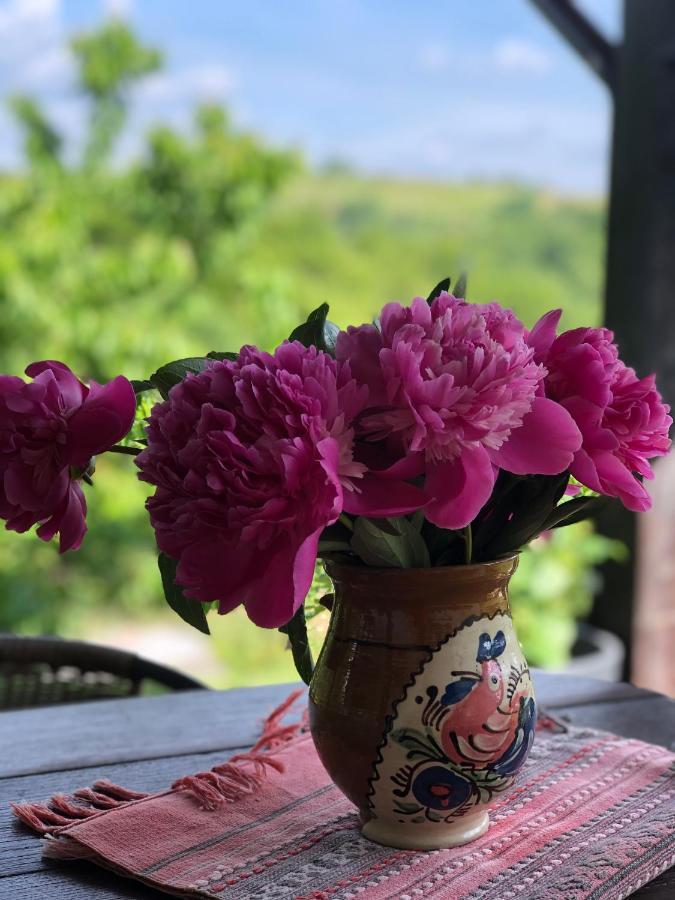 Cabana Dintre Fagi Poiana Mărului 외부 사진