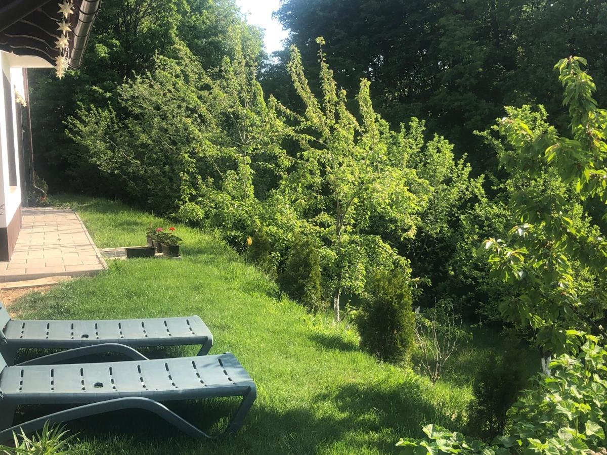 Cabana Dintre Fagi Poiana Mărului 외부 사진